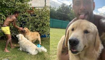 Conheça 7 jogadores brasileiros que são apaixonados por seus cães (Reprodução/Instagram)